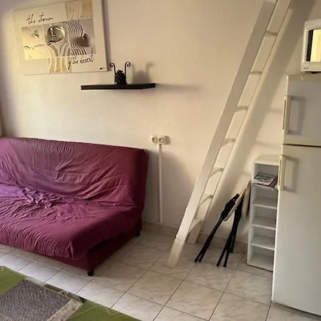 Climatise Avec Parking A 500m De La Pour Familiales - Fr-1-749-30 아파트 아그